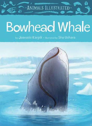 Animals Illustrated: Bowhead Whale Picture Book