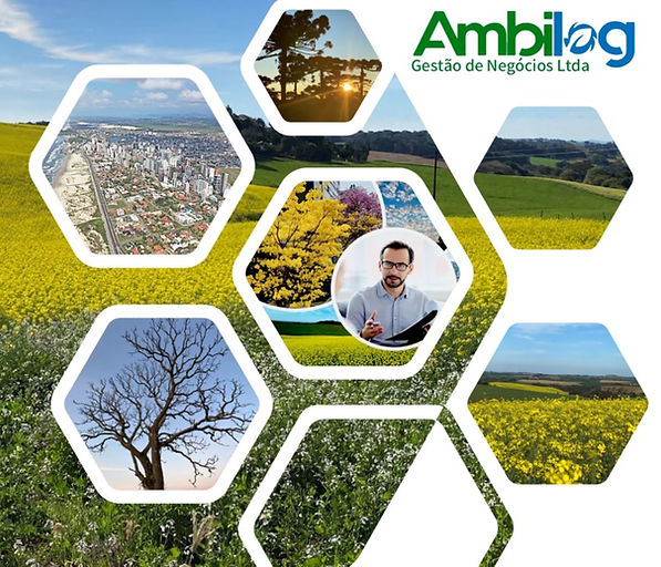Logotipo ambilog