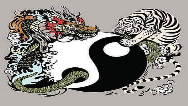 Kinh nghiệm chơi rồng hổ cực chuẩn tại w88
content media