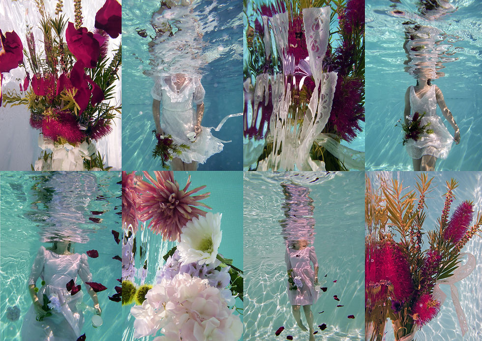 Web cover 1