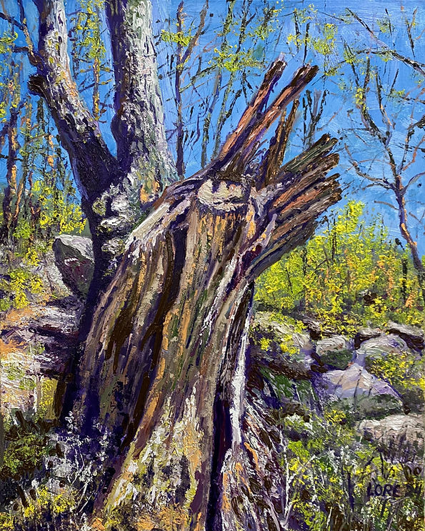The Old Sentinel | Oil