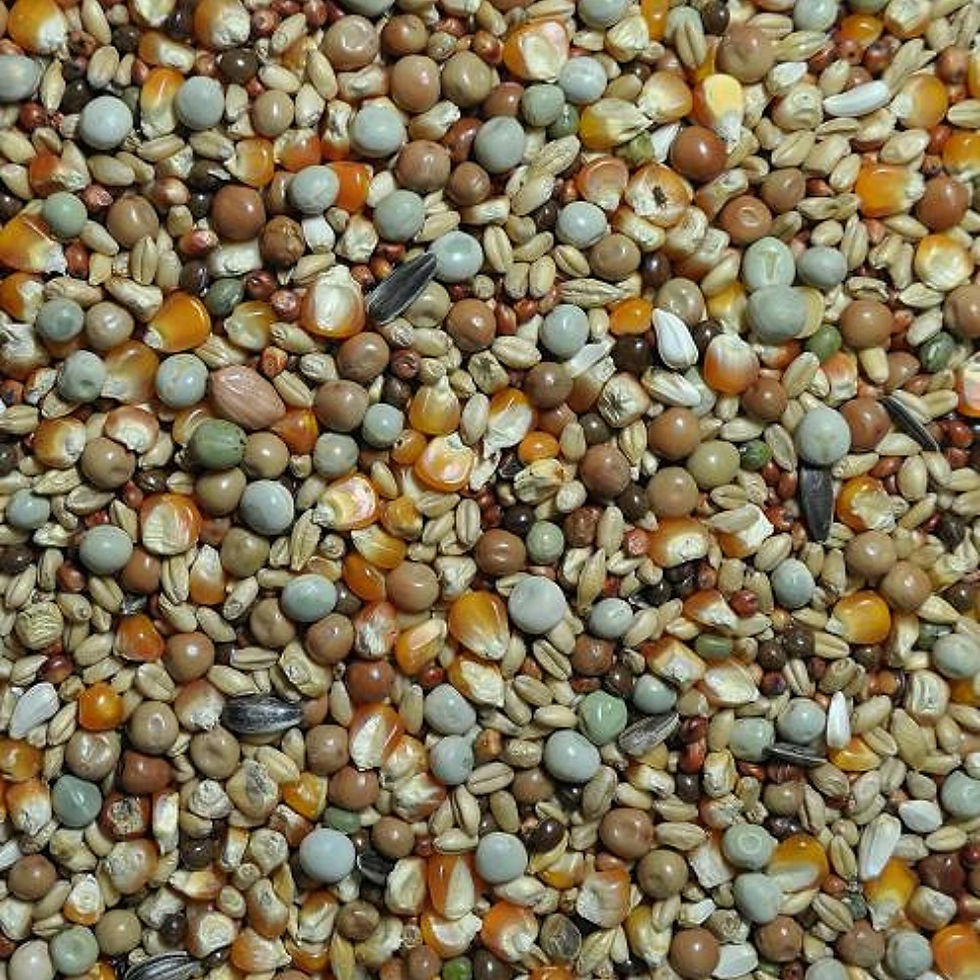 Thumbnail: Newtree Sky High Pigeon Flyer Mix | 25kg