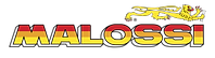 malossi-logo-png-transparent.png