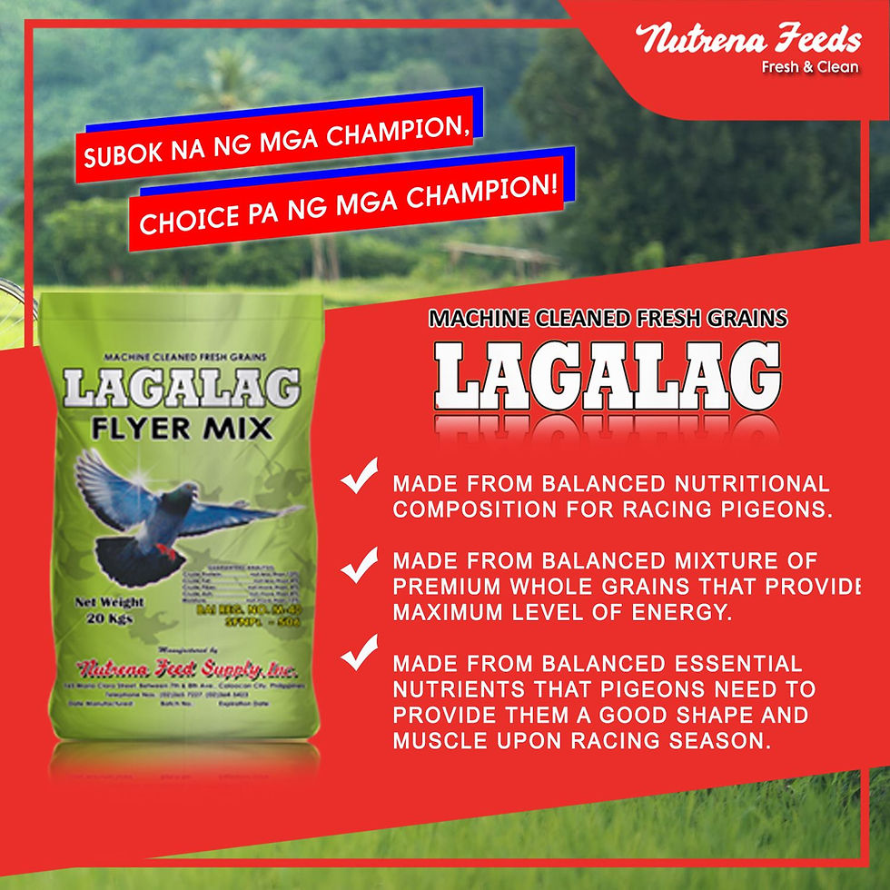 Thumbnail: Nutrena Lagalag Pigeon Flyer Mix | 20kg