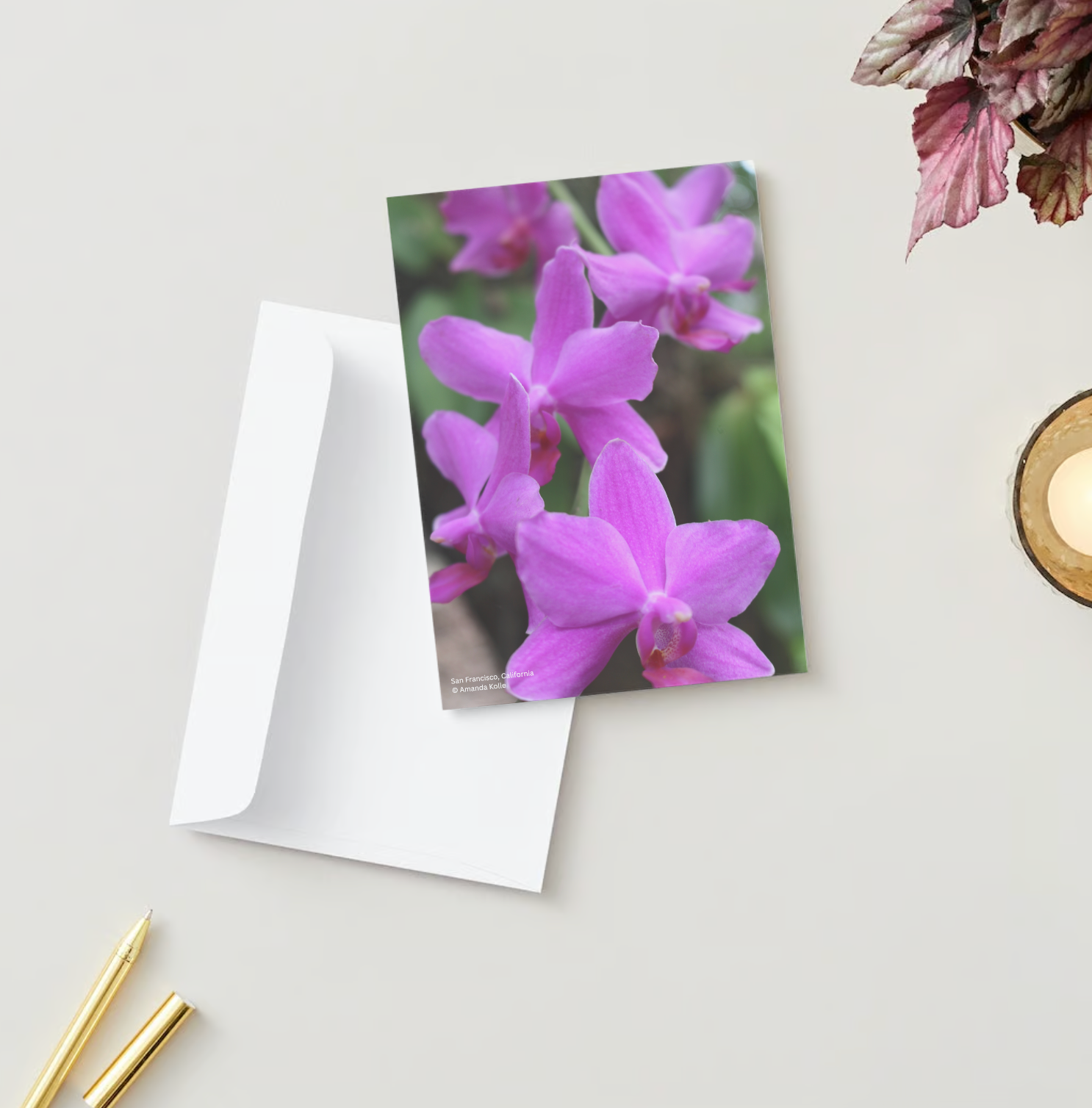 Beautiful Blooms Photography Stationery Set