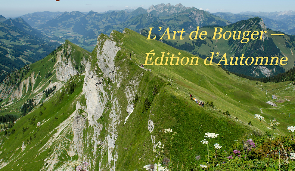 L’Art de Bouger — Édition d’Automne