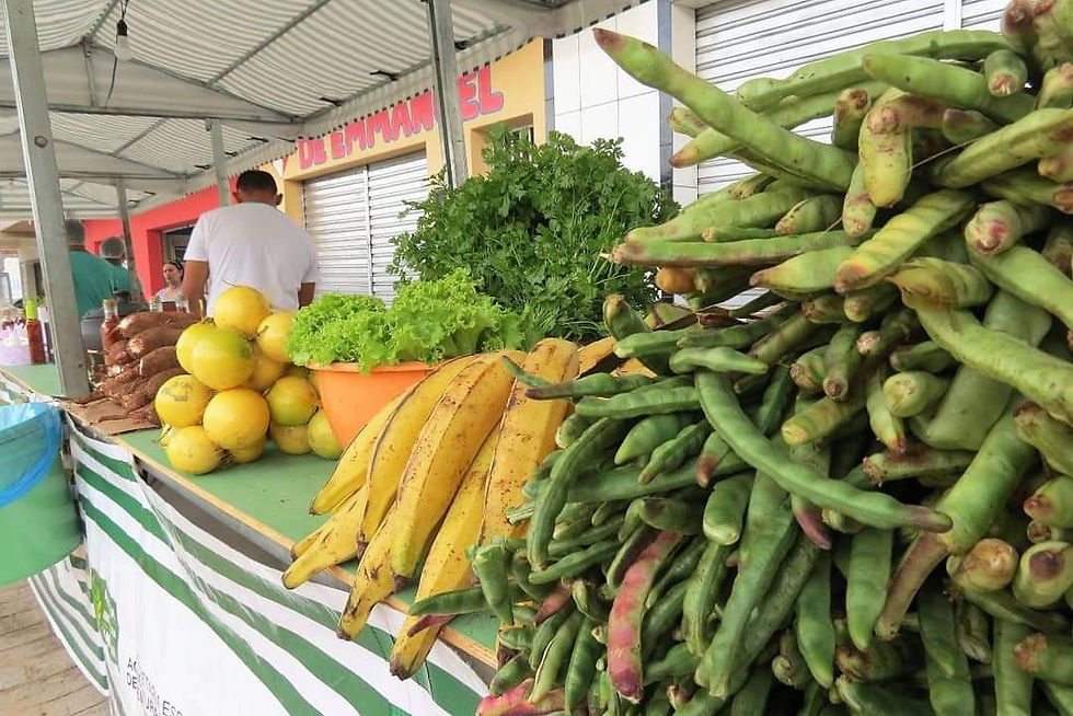 Miniatura: COOPAFAB - Cooperativa dos Agricultores Familiares do Município de Bananeiras/PB