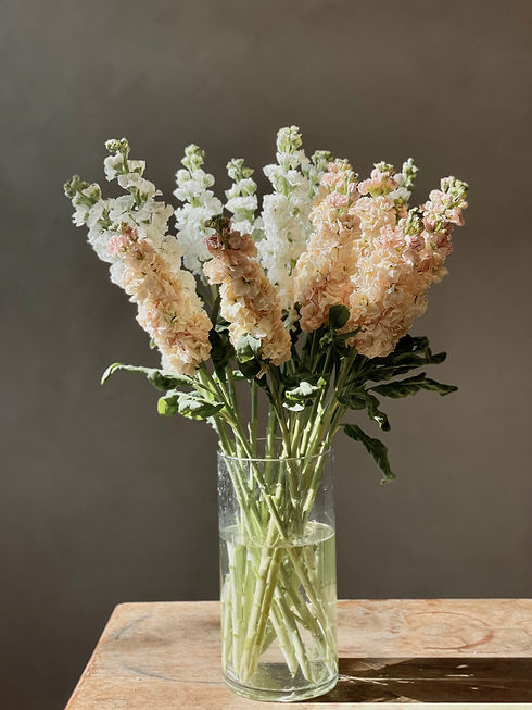 Foto 2022-05-16 09 19 30.jpg