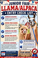 Llama Alpaca.png