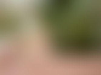 Defining GHG Inventory boundaries: Why early choices matter