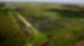 Everglades.png