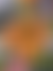 Fall, Friends, and Photoshoots