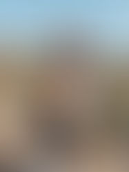 It’s Fall Y’all: A fall bucket list with 11 things to do and try before fall is over