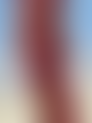 Florals for Spring 2017