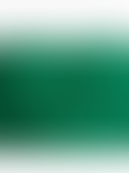 Top 5 Cheap and Affordable Tops for St. Patrick’s Day  