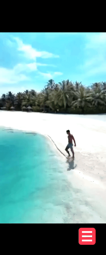 GIF 2.gif