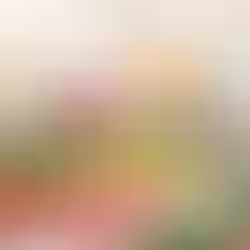 Fresh produce at the Deerfield Beach Farmers Market