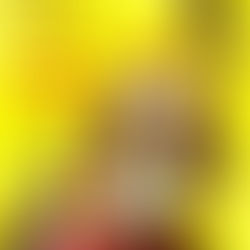 Clássicos revisitados: Fábulas