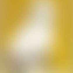 Quem conta, encanta!