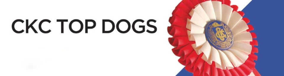 CKC TOP DOGS Ribbon