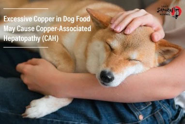 Excessive Copper in Dog Food May Cause Copper-Associated Hepatopathy (CAH)