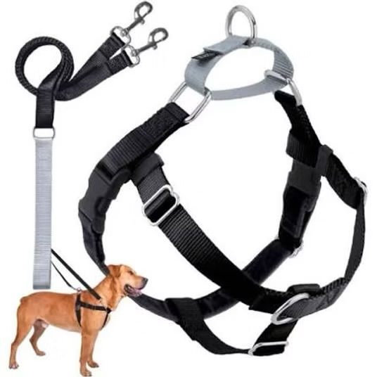 Dual clip dog harness