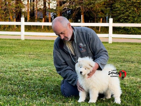 How do we pick the right puppy for you