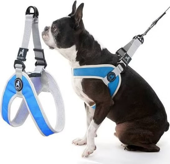 Step in dog harness