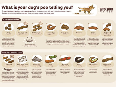Dog poop chart