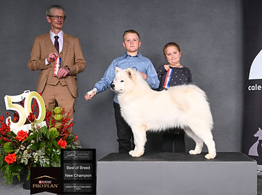 DSC_2035a.JPG