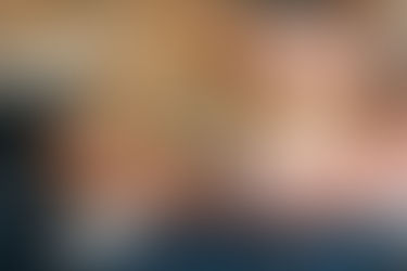 Shiba inu sleeping on human laps