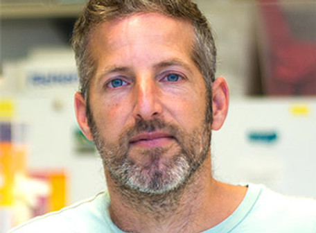 ZEEV.jpg