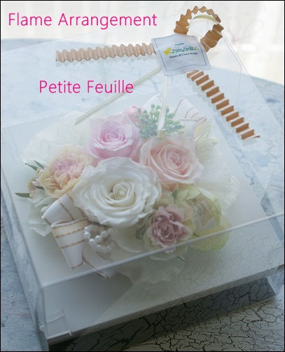 透明クリアケース入り