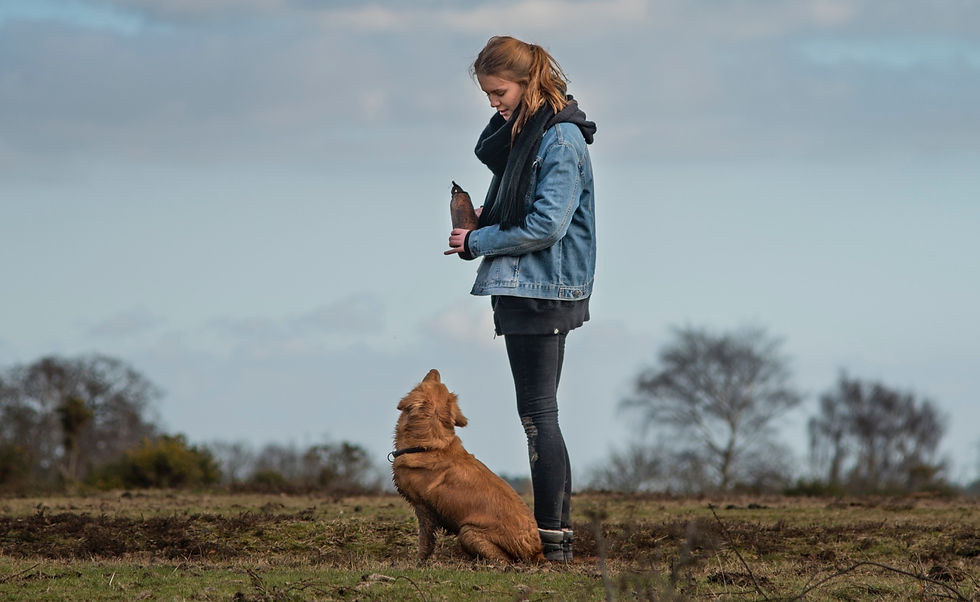 Hond kijkt trouw omhoog naar baasje waar hij een goede band mee heeft