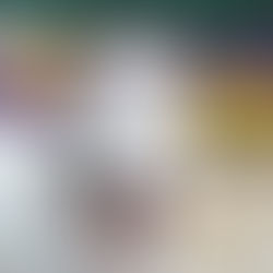 Kan een hond het Syndroom van Down hebben?