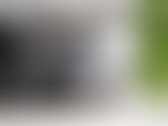 Help, m'n oude hond heeft trillende achterpoten! [Opgelost!]