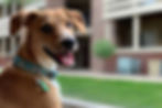 Blije hond voelt zich goed doordat hij probiotica heeft gekregen