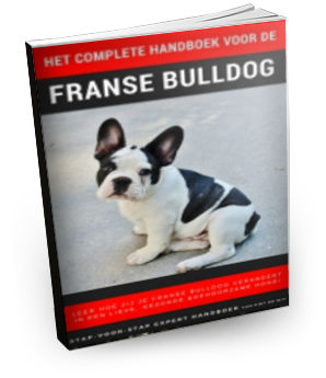 e-book Handboek voor de Franse Bulldog