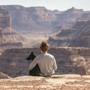Hoe vind ik een hondenoppas die bij mijn behoeften past?