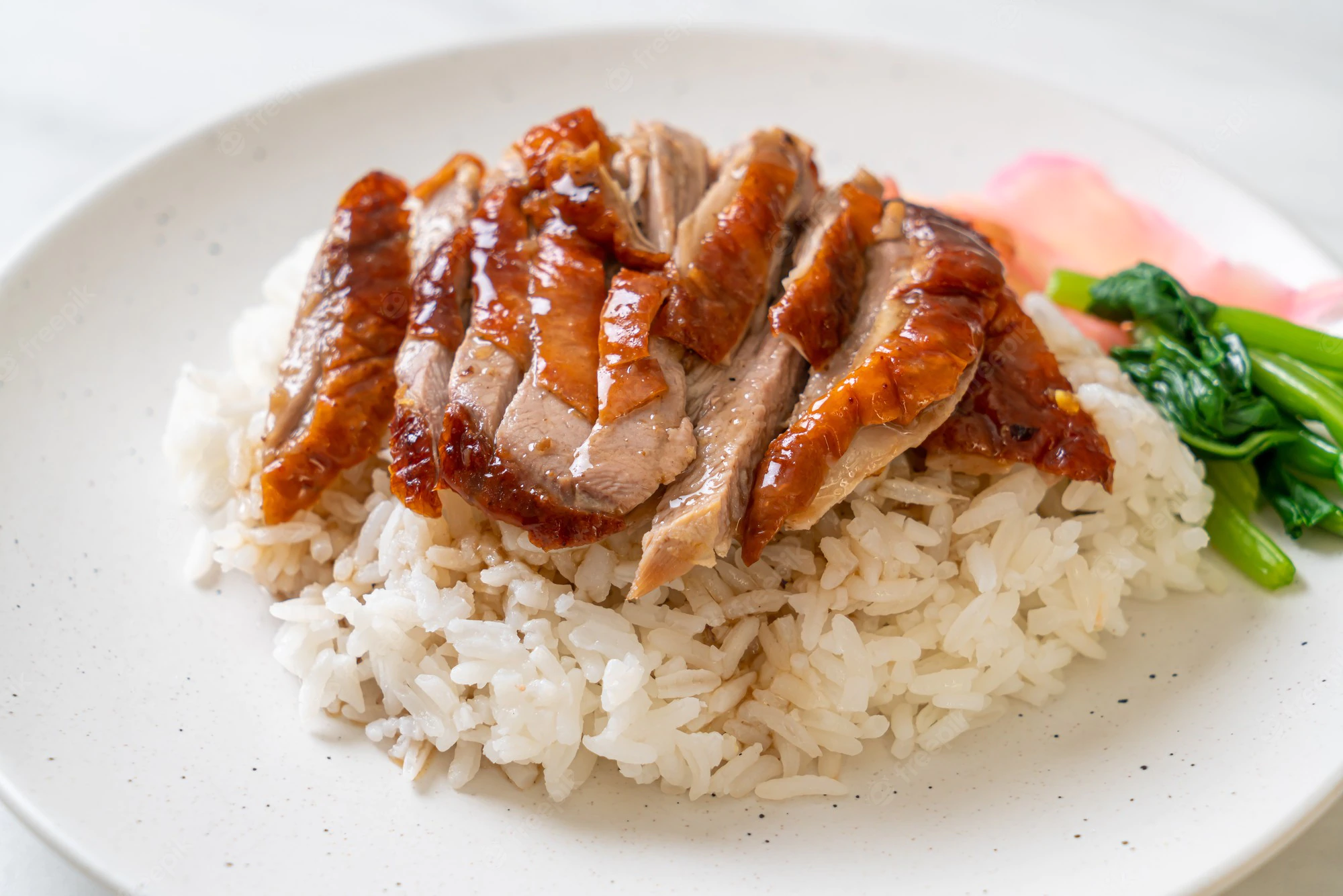 duck over rice 2.webp