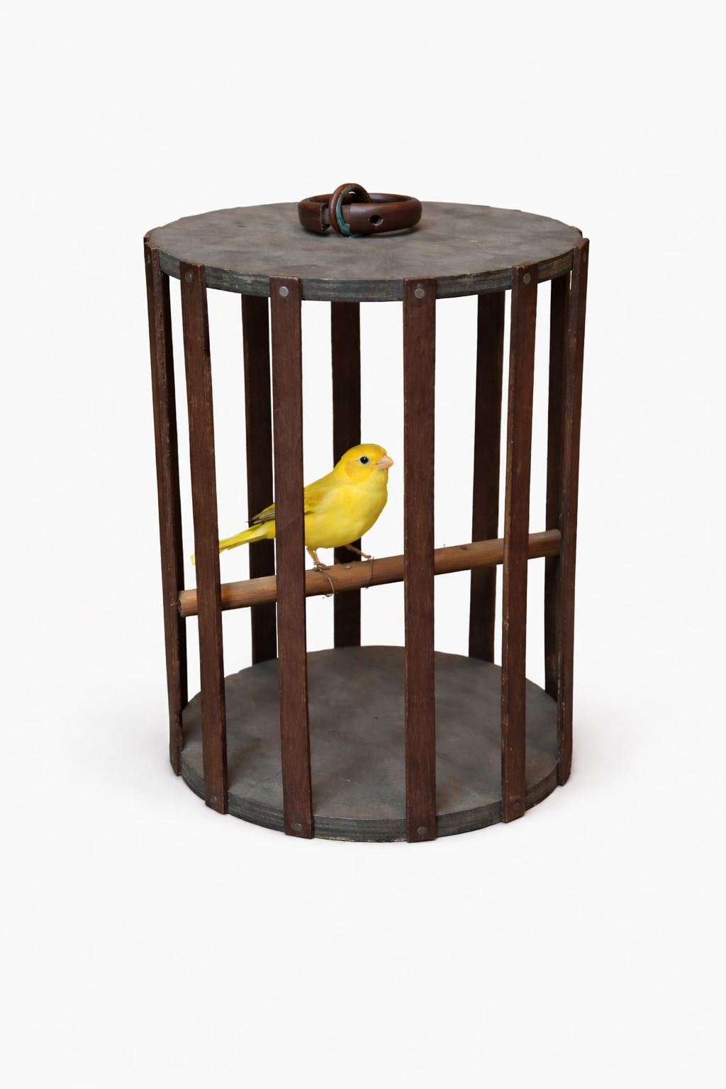 vogelkooi met gele nepvogel