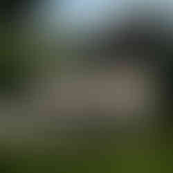 Ферма Samsung S8