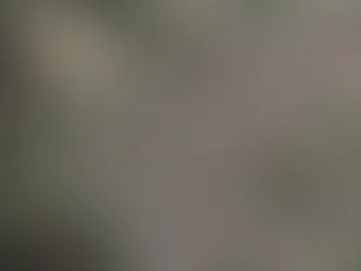 Grundstücksanalyse erklärt: Einschätzung der baurechtlichen Möglichkeiten, Potenziale und Risiken eines Grundstücks, um Fehlkäufe und unnötige Kosten zu vermeiden.