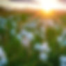 DSC09097.jpeg