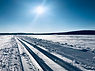 IMG_6483.jpeg