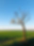 IMG_6918.jpeg