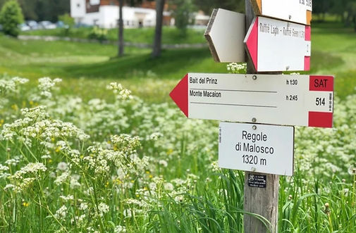 Passeggiata Località Regole