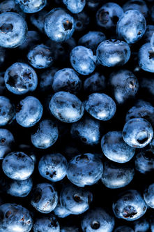 freshly-picked-blueberries-2022-02-02-03-49-28-utc.jpg
