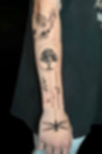 Fine line forearm piece with a dove, a tree in a circle and a dragonfly by Gerson