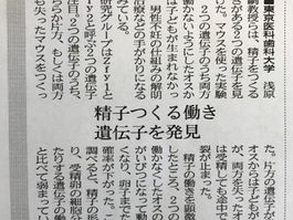 中筋さんのPloS Geneticsの論文が日経新聞(2017年2月27日)に紹介されました
